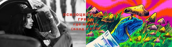 спиды Киреевск