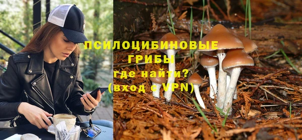 спиды Киреевск