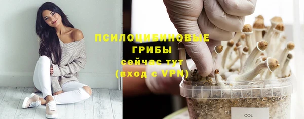 спиды Киреевск